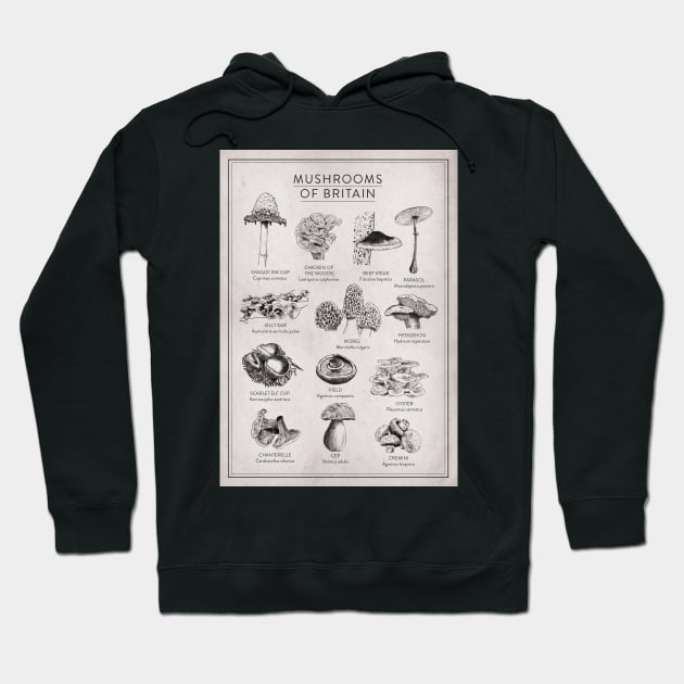 Mushrooms of Britain Print Hoodie by Highdown73